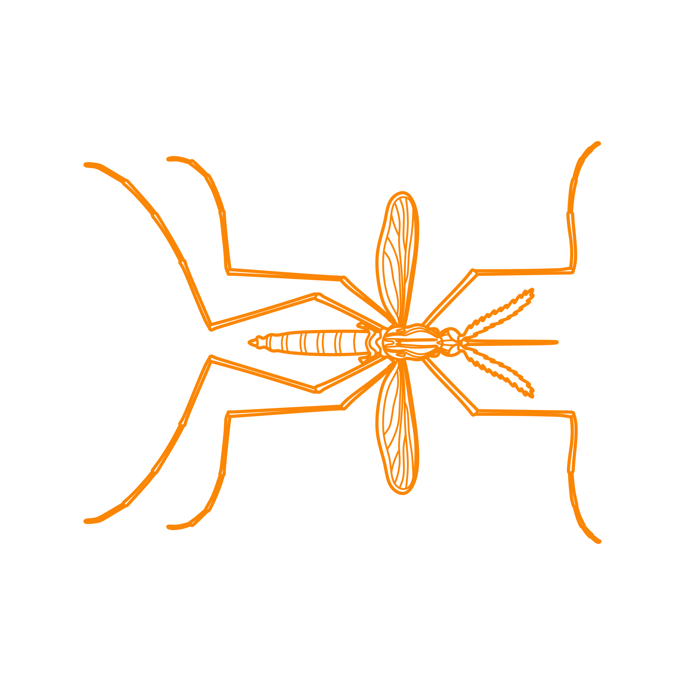 Animals Insects Asian Tiger Mosquito Tracing Svg Vector Free Vectors